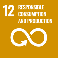 12 지속가능한 소비와 생산 양식의 보장